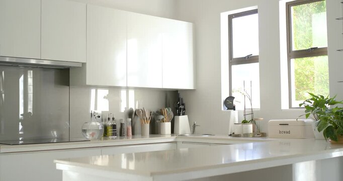Camera is pulling back, showing glossy white kitchen counter and cabinets to reveal windows, plants