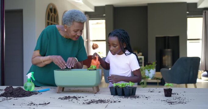 African gran pointing, potting plants at table into planter while girl watering orange can teaching