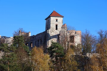 Obraz premium Tenczyn castle ruin in Polish Jura. Medieval castle on Trail of the Eagles Nests in Malopolska region in Poland.