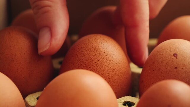 Farm fresh eggs in a delicate paper tray. Healthy nutrition and organic food concept. High quality 4k footage
