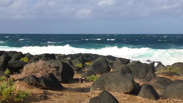 eindrucksvolle K&uuml;stenlandschaft mit gro&szlig;en sch&auml;umenden Wellen, blauem Himmel, M&ouml;we, Seevogel, Brandung, Ufer, Meer, Ozean, Kanarische Insel, Lanzarote, felsig, Urlaub, Abenteuer, Horizont
