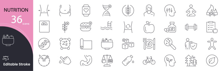 Obraz premium Nutrition icon set. Health and food related line icons. vitamins, minerals, balanced diet, nutrients, meal plan, organic food, calorie, protein, fruits and vegetables Editable stroke. 