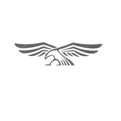 Grunge Eagle Head Down