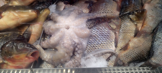 A close-up view inside a refrigerated display case showing fresh, raw seafood, featuring a pale octopus surrounded by several whole, scaled fish resting on crushed ice © z_olga_art