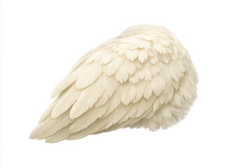 Obraz premium White angel wing with soft feathers, ethereal bird plumage, isolated on transparent background, symbol of freedom and spirituality