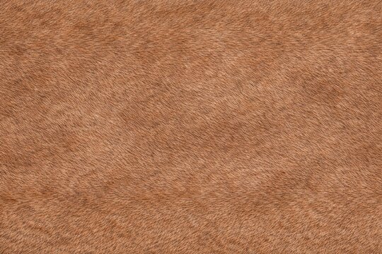 Deer Fur Hide Leather Texture with Copy Space. Close-up natural buck coat detail. Wild reindeer fur surface design. Realistic deer hide texture background. Detailed wildlife fur macro close-up. Soft a