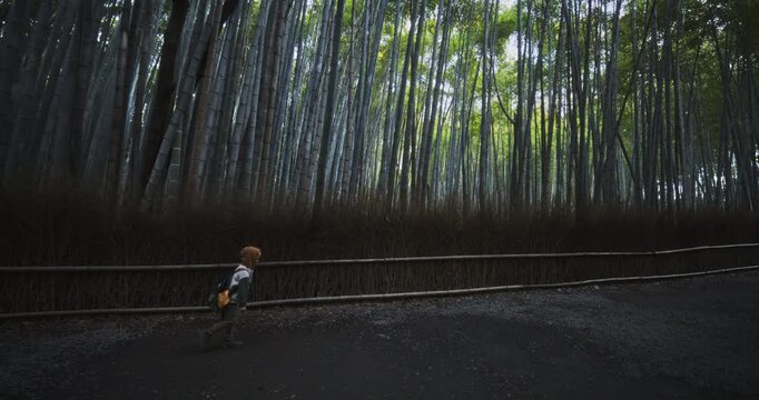 Wide, steady cam shot alongside young boy walking along on bamboo thicket path in Japan