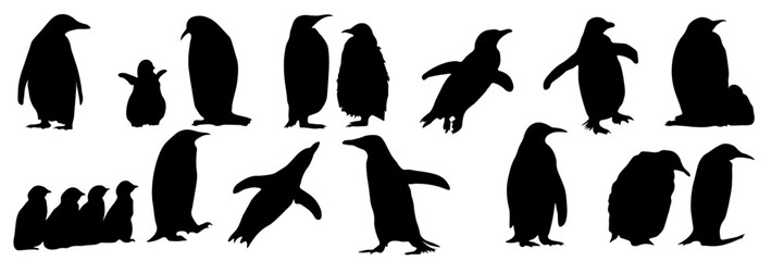 Vector set of penguin silhouettes in different poses including standing, walking, swimming and group composition. Black flat animal silhouettes isolated on white and transparent background.  © MJD_Studio