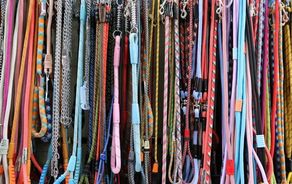 Colorful dog leashes in the pet store. Background and texture.