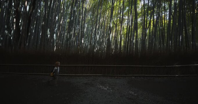 Slow moving tracking shot with lonely young boy walking on path near bamboo thicket