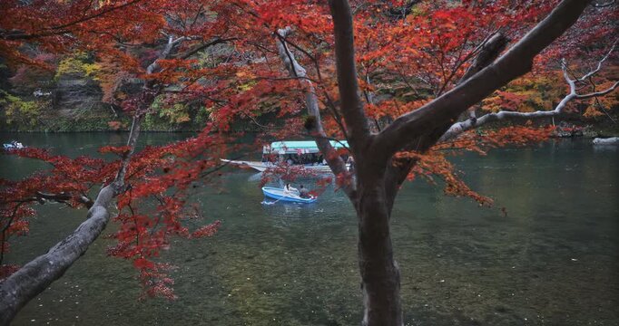 Few of small Japanese boats behind beautiful autumn trees - steady cam tracking shot
