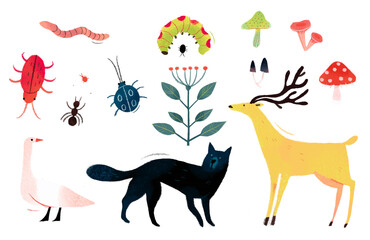 Obraz premium Nature Elements and Animals Illustration Set