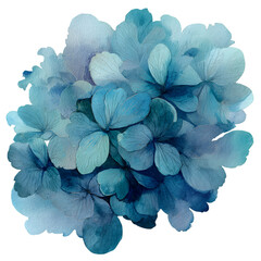 Blue hydrangea flower cluster with petals isolated on transparent background
