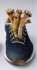 Athletes foot. Shoe hygiene Innovative shoe designs featuring artistic integration of organic plant and flower