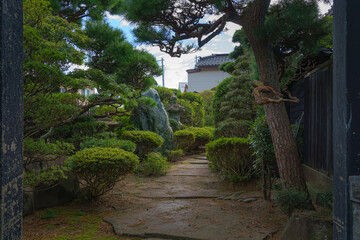 Sakata, Yamagata, japan - Oct 5 2024, a panoramic view of a Japanese garden on the grounds of a temple or shrine, without people, at daytime, Sakata, Japan
