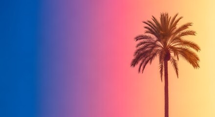 Obraz premium Vibrant palm tree silhouette against gradient sunset sky