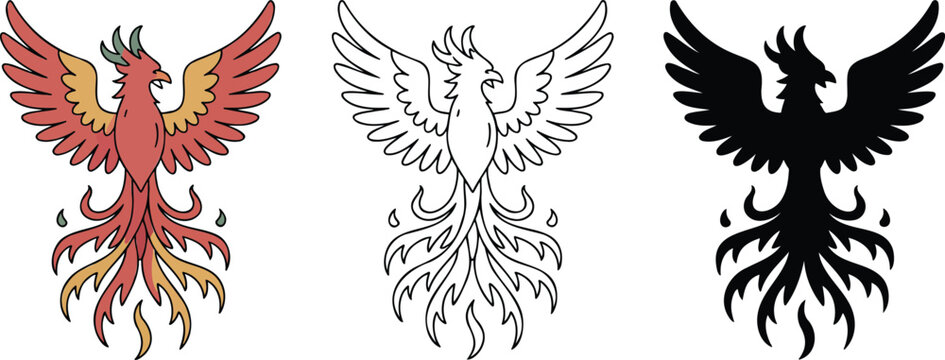 Phoenix bird silhouette & Outline and illustration set isolated on transparent background