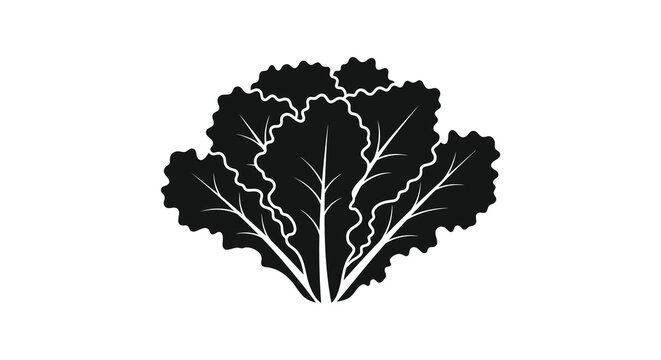 A minimalist black and white illustration depicts a leafy green vegetable resembling kale or a similar plant high quality professional