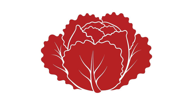 A stylized illustration depicts a vibrant red cabbage head with prominent textured leaves showcasing a simple design