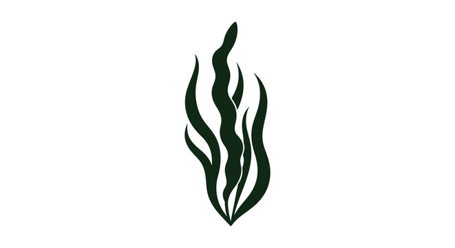 A minimalist depiction showcases dark green seaweed fronds against a stark white background creating a simple design