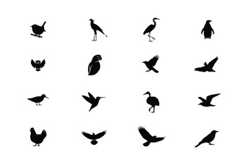 set of birds