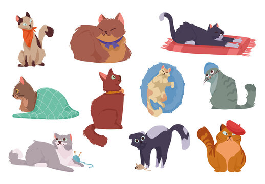 Cute Cats Illustration Set