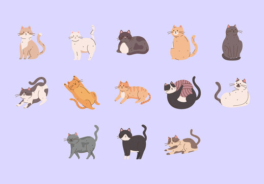 Cute Cats Illustration Set