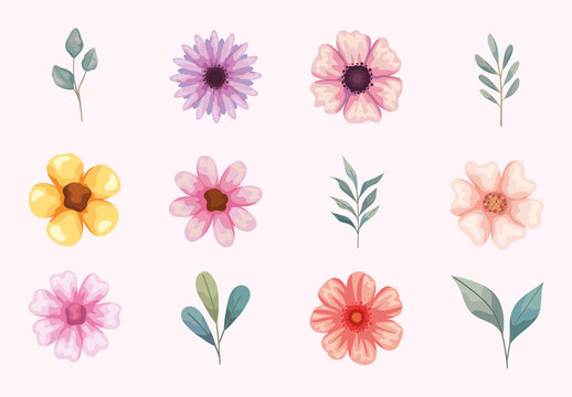 Flowers Illustration Set