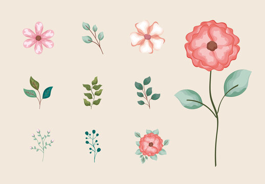Botanical Flowers Illustration Set