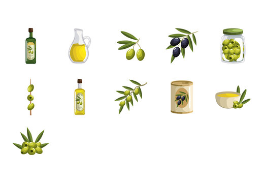 Green and Yellow Olive Illustration Set