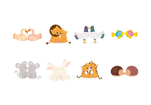 Animals Couples Illustration Set