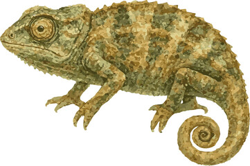Obraz premium Vector watercolor illustration of a spectral pygmy chameleon