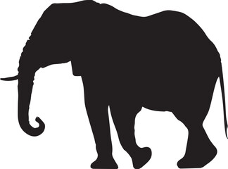 Obraz premium Elephant black silhouette collection wildlife animal vector isolated on white background