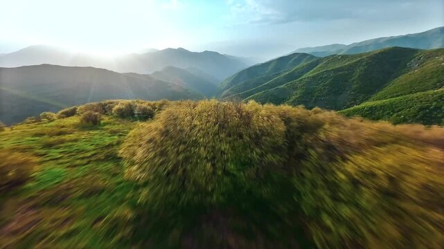 The beautiful spring of the Arasbaran forests in western Iran filmed with FPV. 