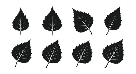 Detailed leaf shapes in black and white a striking botanical silhouette © MDRAYHAN