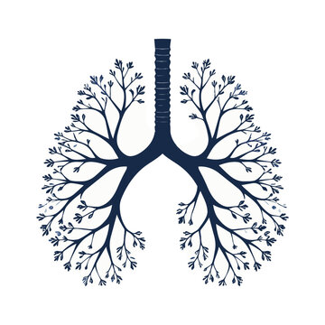 Bronchiole Branching 17