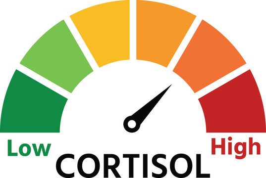 Colorful gauge displaying cortisol levels with low and high indicators