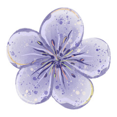 Fototapeta premium A purple flower with delicate petals in a soft watercolor style. Perfect for prints, stationery, and branding.