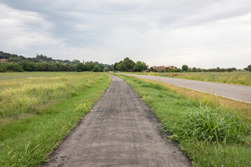 Obraz premium Via Francigena - bicycle path along a country road near Felegara, municipality of Medesano, Province of Parma, Emilia-Romagna, Italy
