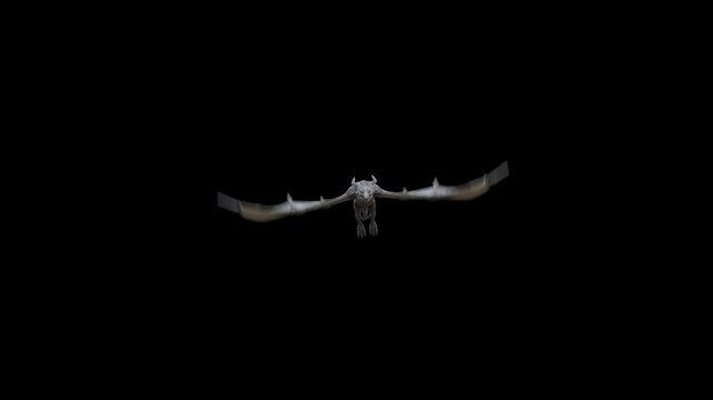 Realistic Dragon flying and waving his wings isolated on black with alpha channel and additional alpha matte.