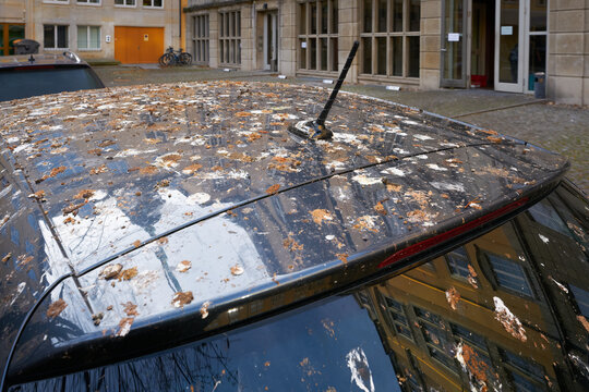 Mit Vogelkot stark verschmutztes Auto in der Innenstadt von Dresden in Deutschland