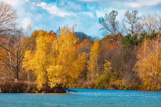Autumn or indian summer view with reflections at Zulling, Dingolfing, Landau, Bavaria, Germany