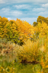 Fototapeta premium Autumn or indian summer view with reflections in a pond at Wallersdorf, Dingolfing, Landau, Bavaria, Germany