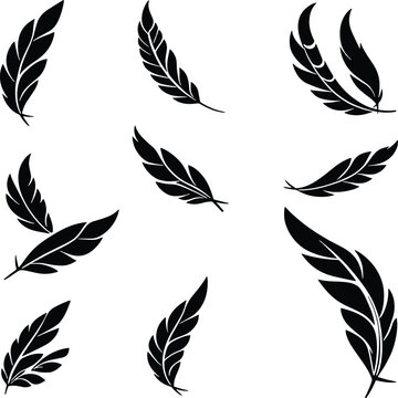 Feather Vector Illustration &ndash; Minimal Bird Quill Feather Icon, Black and White Isolated Design