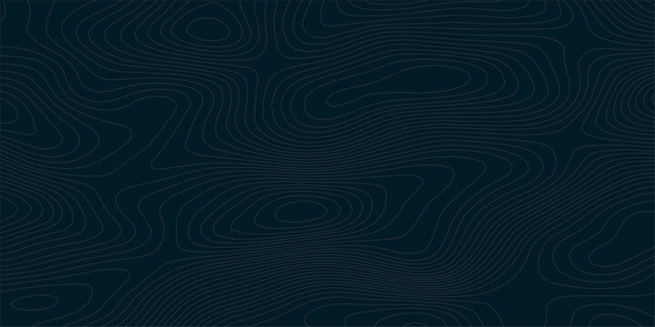 Abstract topographic contour lines on dark teal background with thin white and light gray curves forming organic terrain elevation map texture in seamless 2D vector style.
