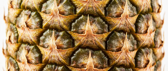 Fototapeta premium Close-up of texture of pineapple peel