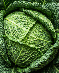 Fototapeta premium Green fresh cabbage for a healthy diet