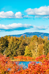 Obraz premium Autumn or indian summer view at a pond near Plattling, Deggendorf, Bavaria, Germany