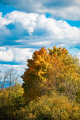 Autumn or indian summer view at Mount Bogenberg, Bogen, Danube, Bavaria, Germany