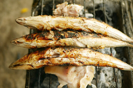 Street food mackerel Scomber scombrus fish vendor outdoors selling cooking roasting barbecue BBQ grill screens mesh metal mat grilled fresh tasty and pig Sus domesticus pork meat using charcoal in